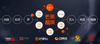 從35家上市文娛公司經營數據看行業現狀與未來啟示