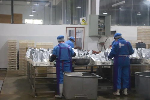 排查冷鏈冷凍產品，守護舌尖上的安全 —— 網絡服務如何筑牢餐桌防線